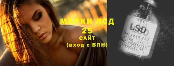 мяу мяу мука Инсар