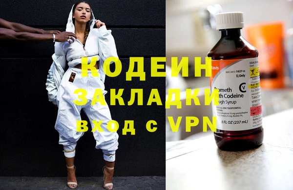 шишки Каменногорск