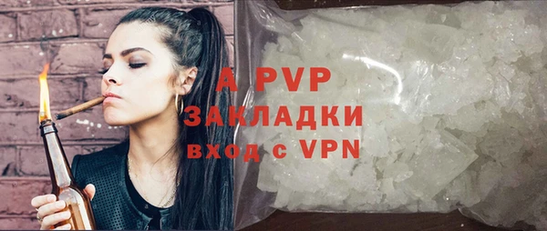 мяу мяу мука Инсар