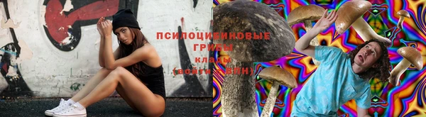мяу мяу мука Инсар