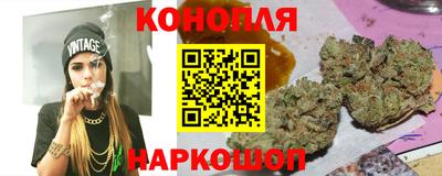 шишки Будённовск