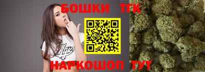 шишки Будённовск