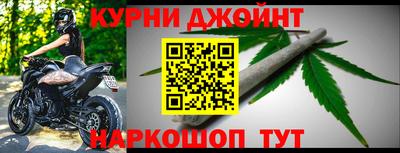 шишки Будённовск