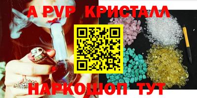шишки Будённовск