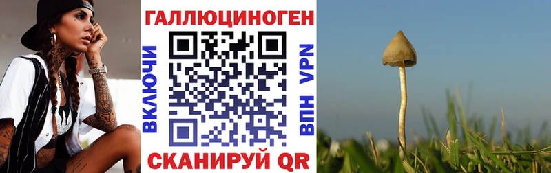 магазин продажи наркотиков  Реутов  ссылка на мегу ССЫЛКА  Галлюциногенные грибы MAGIC MUSHROOMS 