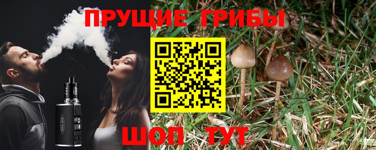 Реутов  Псилоцибиновые грибы прущие грибы  Вход с VPN 